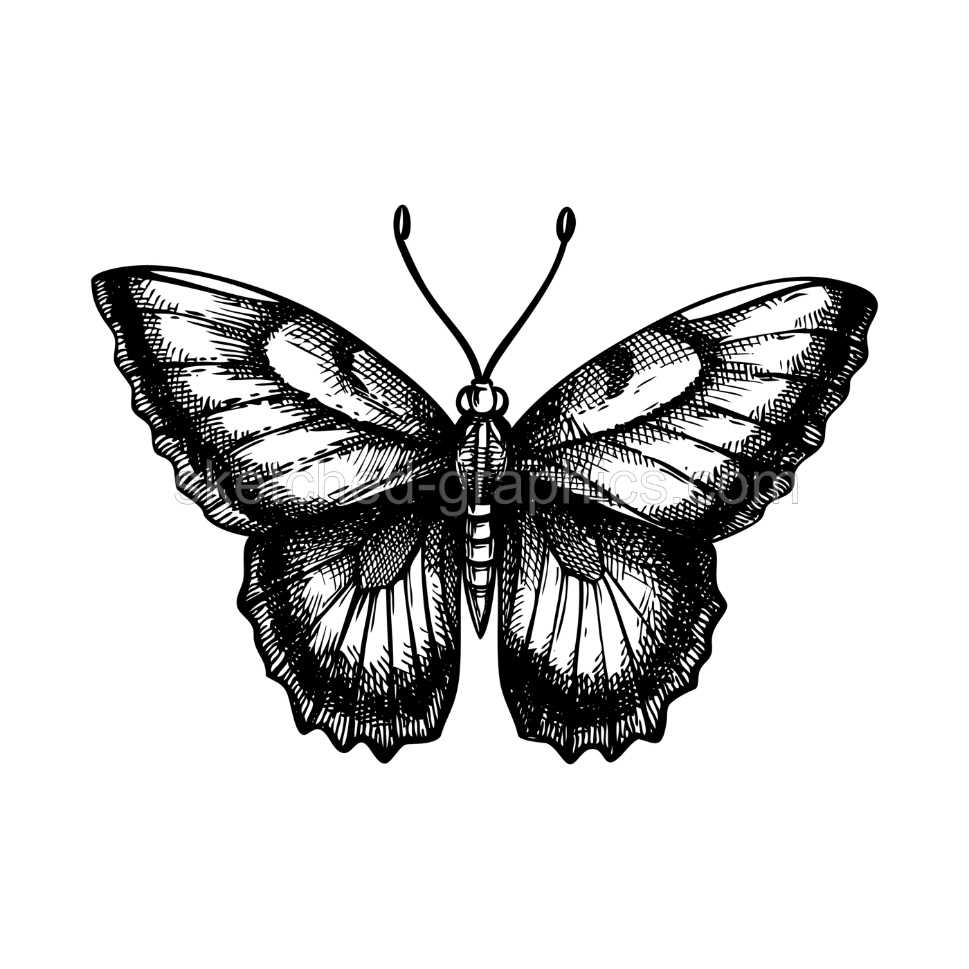 Decorative butterfly sketch. Hand drawn insect vector illustration. Nature design element. NOT AI generated Illustration